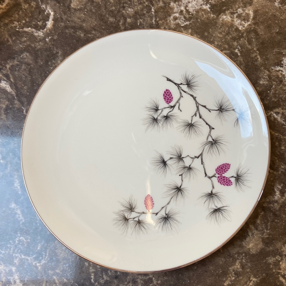 Arcadian Fine China dinner plate euc vintage 50s